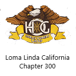 3lllogo